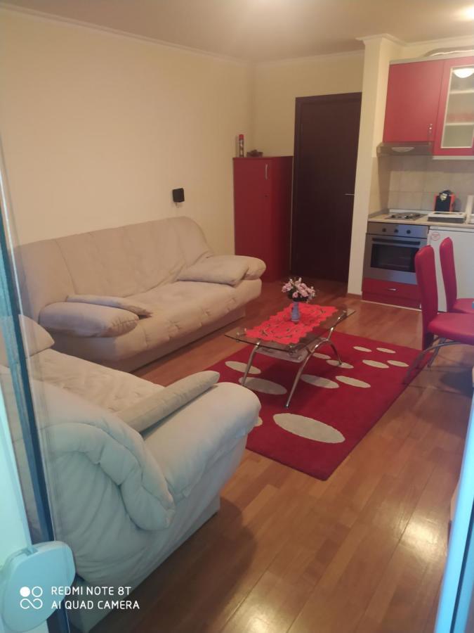 Apartman Arsenijevic Vrnjačka Banja Exterior foto