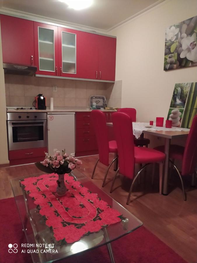 Apartman Arsenijevic Vrnjačka Banja Exterior foto